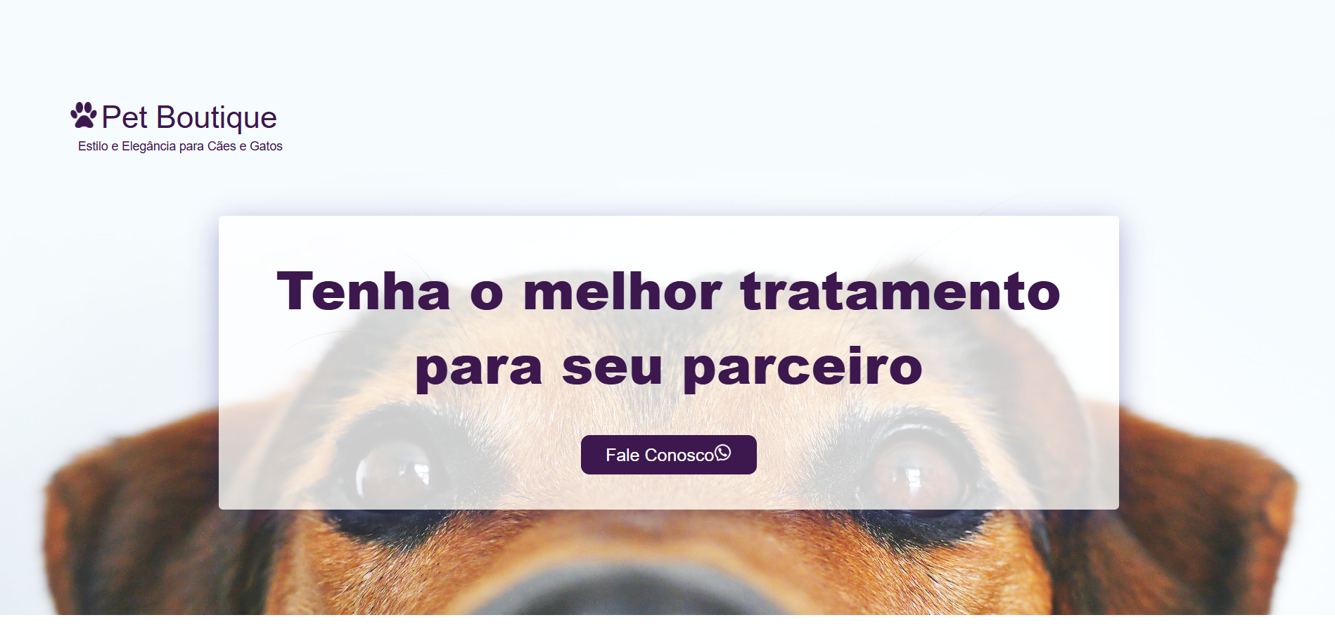 Pet Boutique